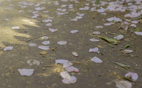 ���� ����ı���