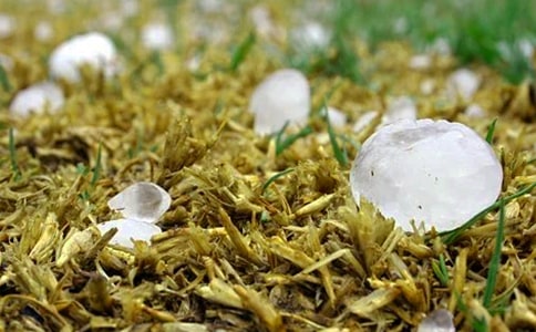 �±����������꼉