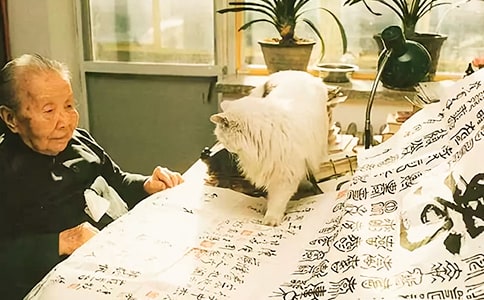 �x���ķ��Ǵ�ˮ�и�