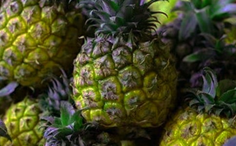 關于菠蘿的作文