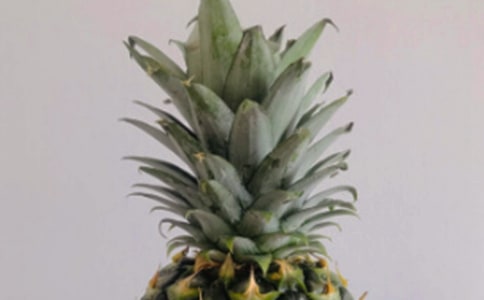 С�����g(sh��)���}�̰�