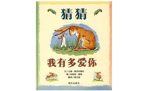 猜猜我有多愛(ài)你作文550字