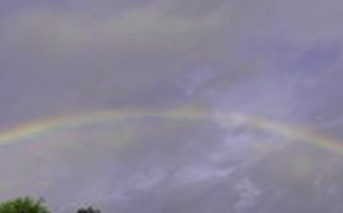 關(guān)于彩虹的作文