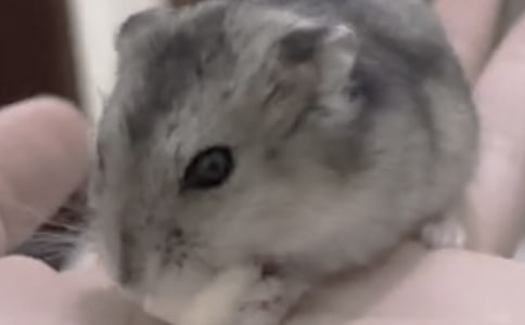 �B(y��ng)�}������