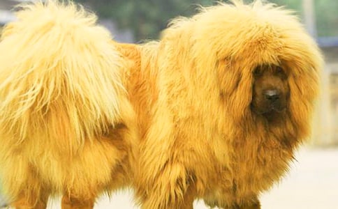 ���u�L���ᡷ�^���