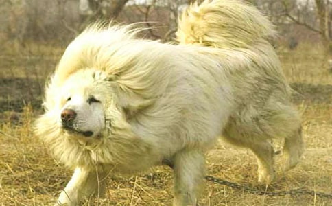 �P(gu��n)�ڲ�������300����ƪ