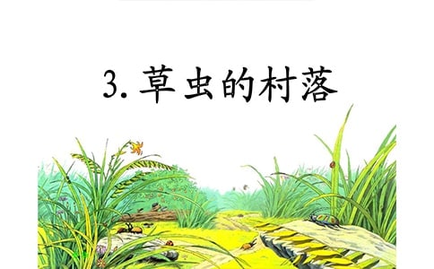 小學語文觀摩課《草蟲的村落》聽課學習心得