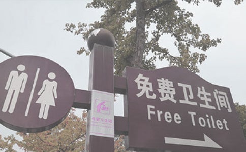 我的樂園——廁所作文(精選28篇)