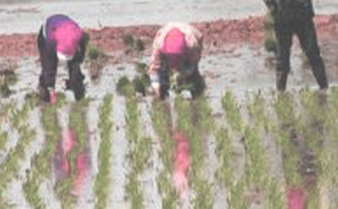 ����400�����꼉(j��)���ģ����x40ƪ��