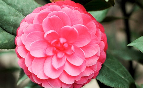 �P(gu��n)�ڲ軨�Č�������