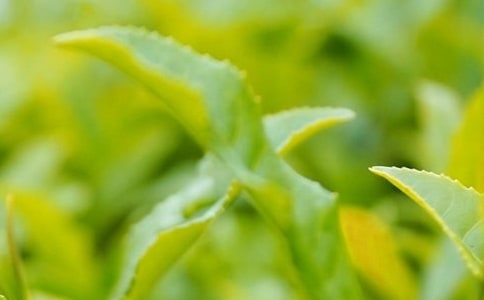 �ɲ��~����400��