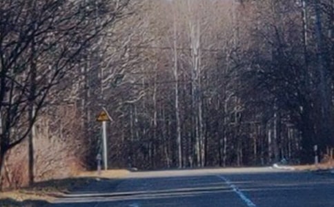 長白山之旅500字作文