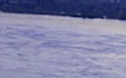 ���L(zh��ng)����̖(h��o)���^��С����T��