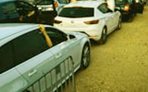 看車展小學(xué)生六年級優(yōu)秀作文