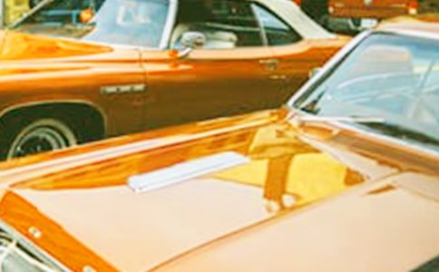 東莞國際車展450字作文