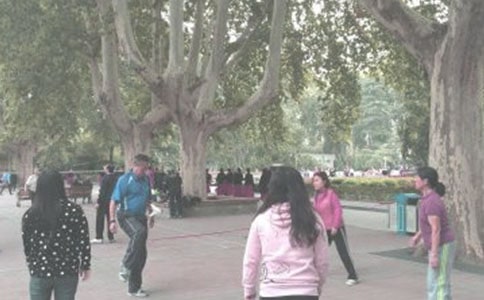 關于晨練的作文