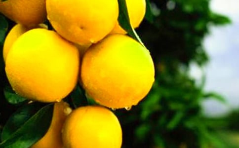 ��������300��