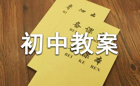 初中教案