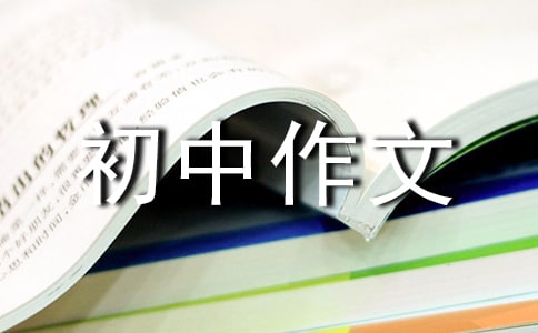 關于攀登的初中作文