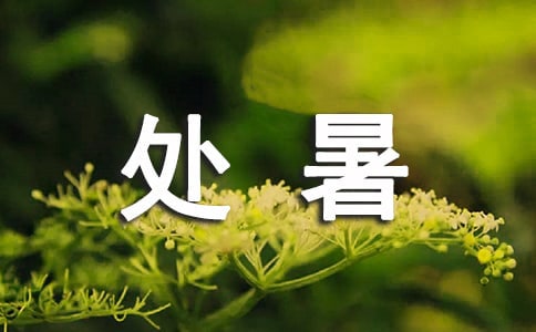 處暑寄語(精選50句)