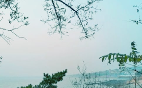 ���L����������o