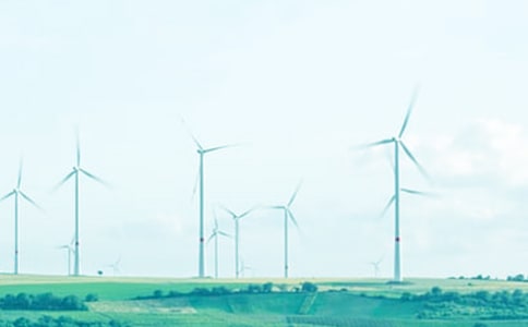 經(jīng)典語錄:等云等月,能否等來你的春風十里我沉醉