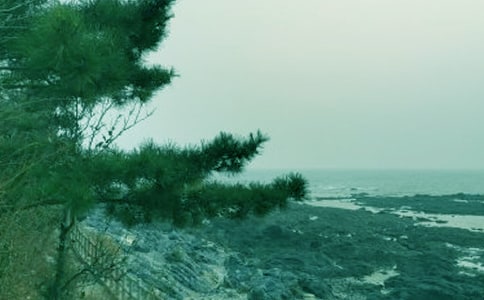 ���L(f��ng)��������