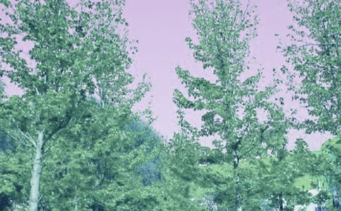 望春風(fēng)的抒情散文