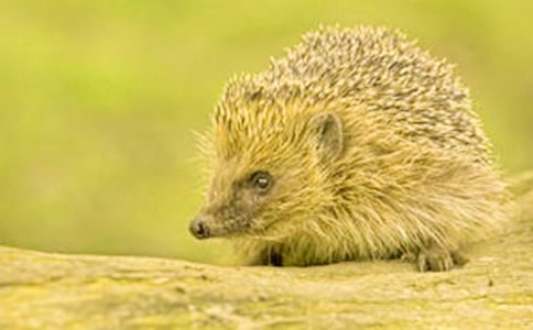 ���g(sh��)��⬽̰�[��(y��u)]