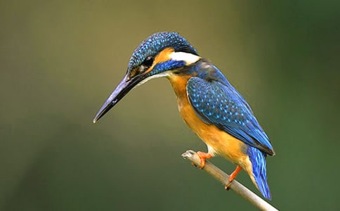 �n�ġ����B����(y��u)��̰��O(sh��)Ӌ(j��)����