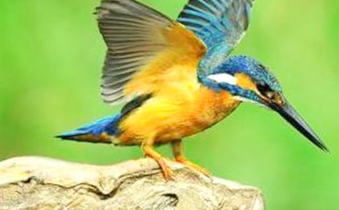 �����B���̰���ͨ��7ƪ��