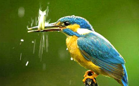 С�W�Z�Ĵ��B�f�n��