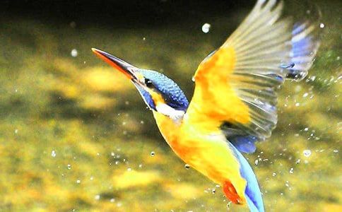 ���B�̌W(xu��)��˼