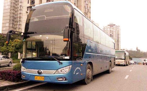 參觀大巴扎的500字作文