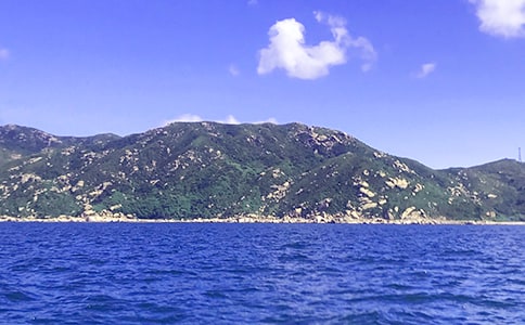 ��׌����������