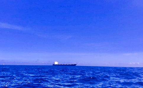 中國最大海外文化企業(yè)并購案