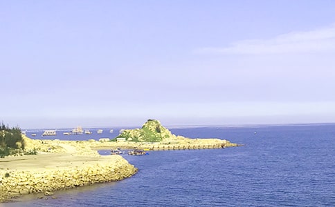 中班美術(shù)把大海裝進瓶子里教案