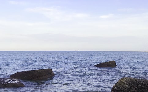 我家住在大海邊作文550字