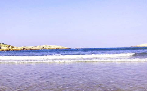 中班美術優(yōu)秀教案《把大海裝進瓶子里》