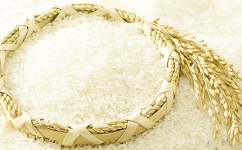 �������ӳԲŽ�����