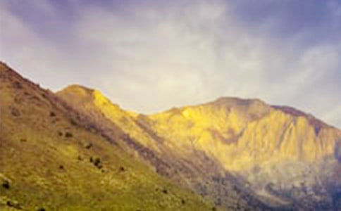 大山作文(通用26篇)