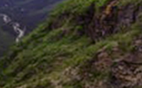 大山,我們來了優(yōu)美散文