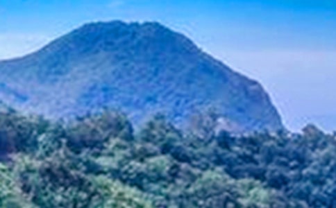 ��׃��׌�ҷ�Խ��ɽ����