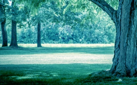 �P(gu��n)�ڴ�������(14ƪ)