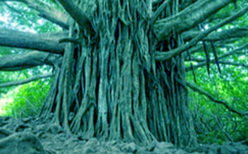 �P�ڴ������ļ��\��13ƪ��