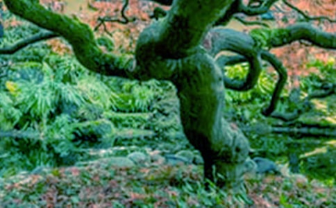 ��ľ�B�c�������x����