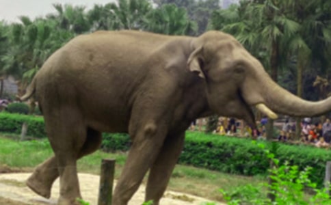 ���Ӻʹ�������