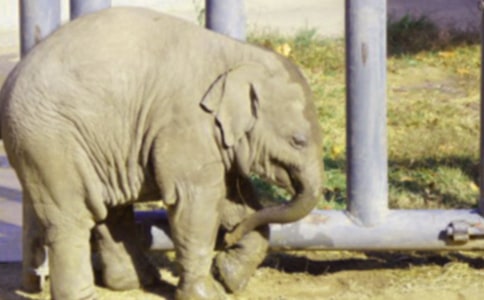 ��������꼉�ƌW�σ�ȫ�Խ̰�����