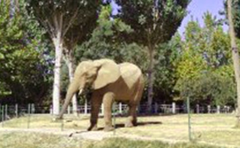 中班美術(shù)大象教案