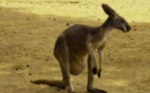 �P(gu��n)�ڿ옷��С������w���̰�